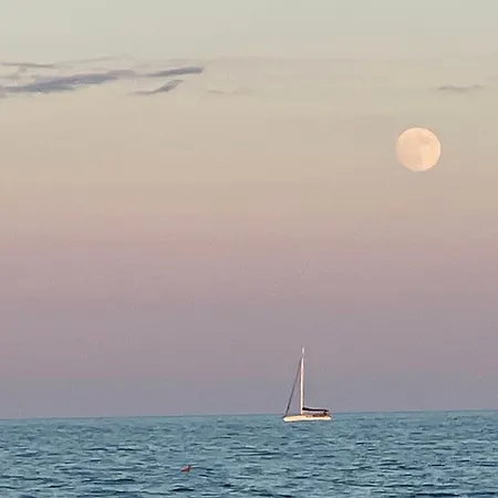 Leopardi A Due Passi Dal Mare Daire