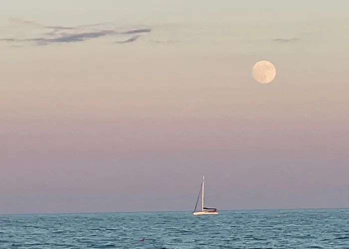 Leopardi A Due Passi Dal Mare Appartamento